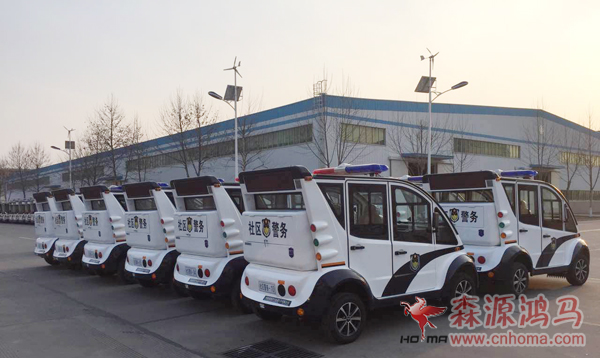 云南普洱12臺電動巡邏車發(fā)車(圖4)