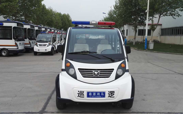 開(kāi)封蘭考縣電動(dòng)巡邏車發(fā)車(圖2)
