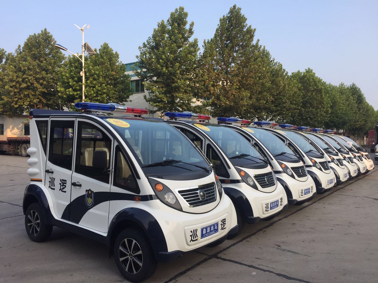 江西蓮花縣公安局采購電動巡邏車(圖2)