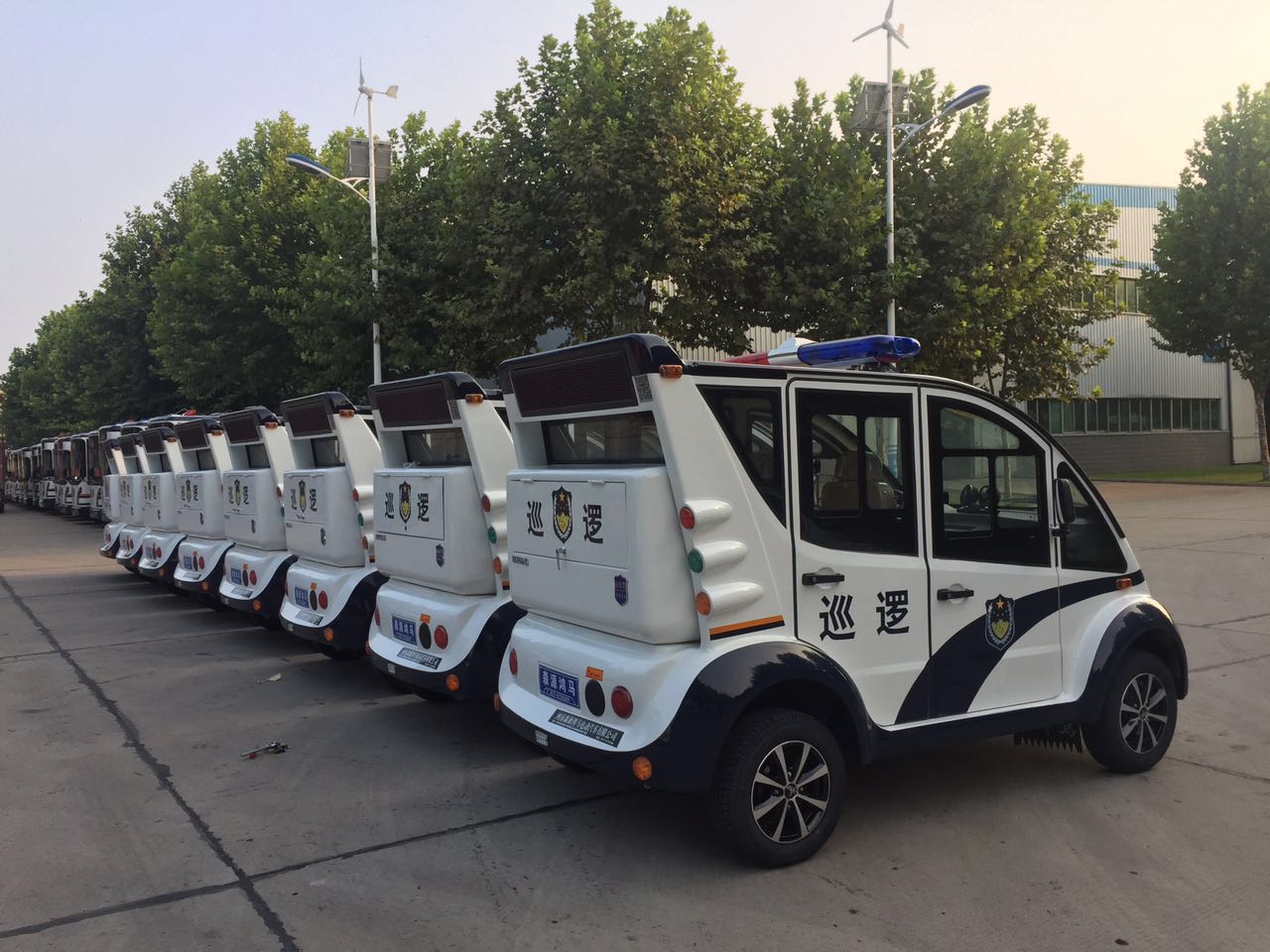 江西蓮花縣公安局采購電動巡邏車(圖5)