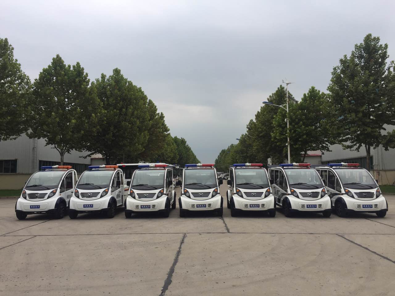 鄭州市金水區(qū)采購電動巡邏車(圖2)