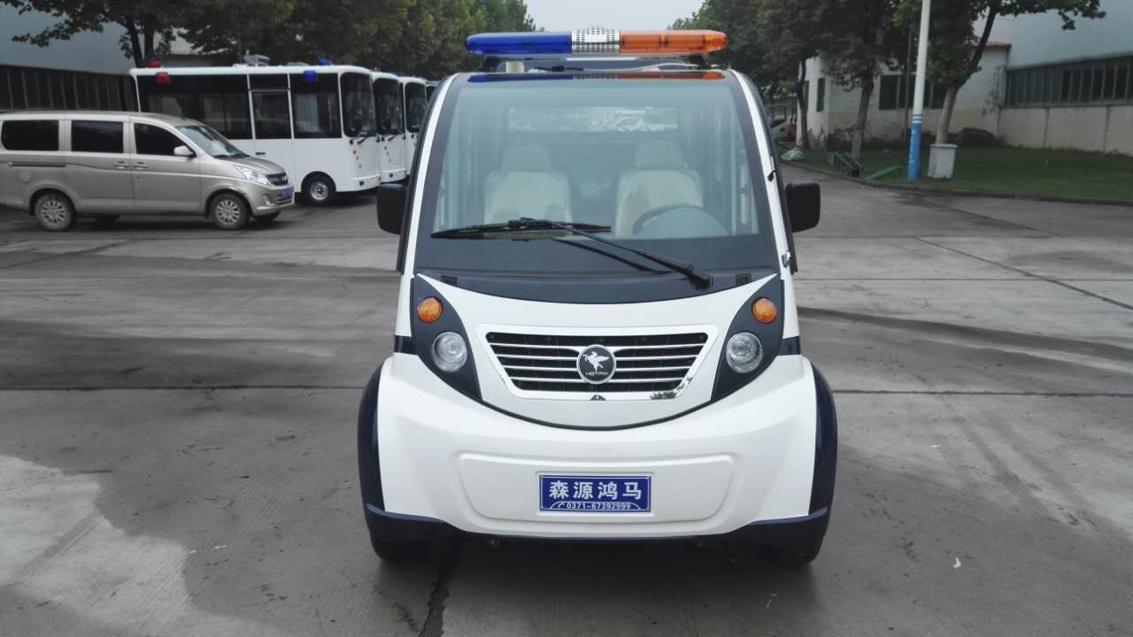 洛陽市洛寧縣電動巡邏車發(fā)車(圖2)