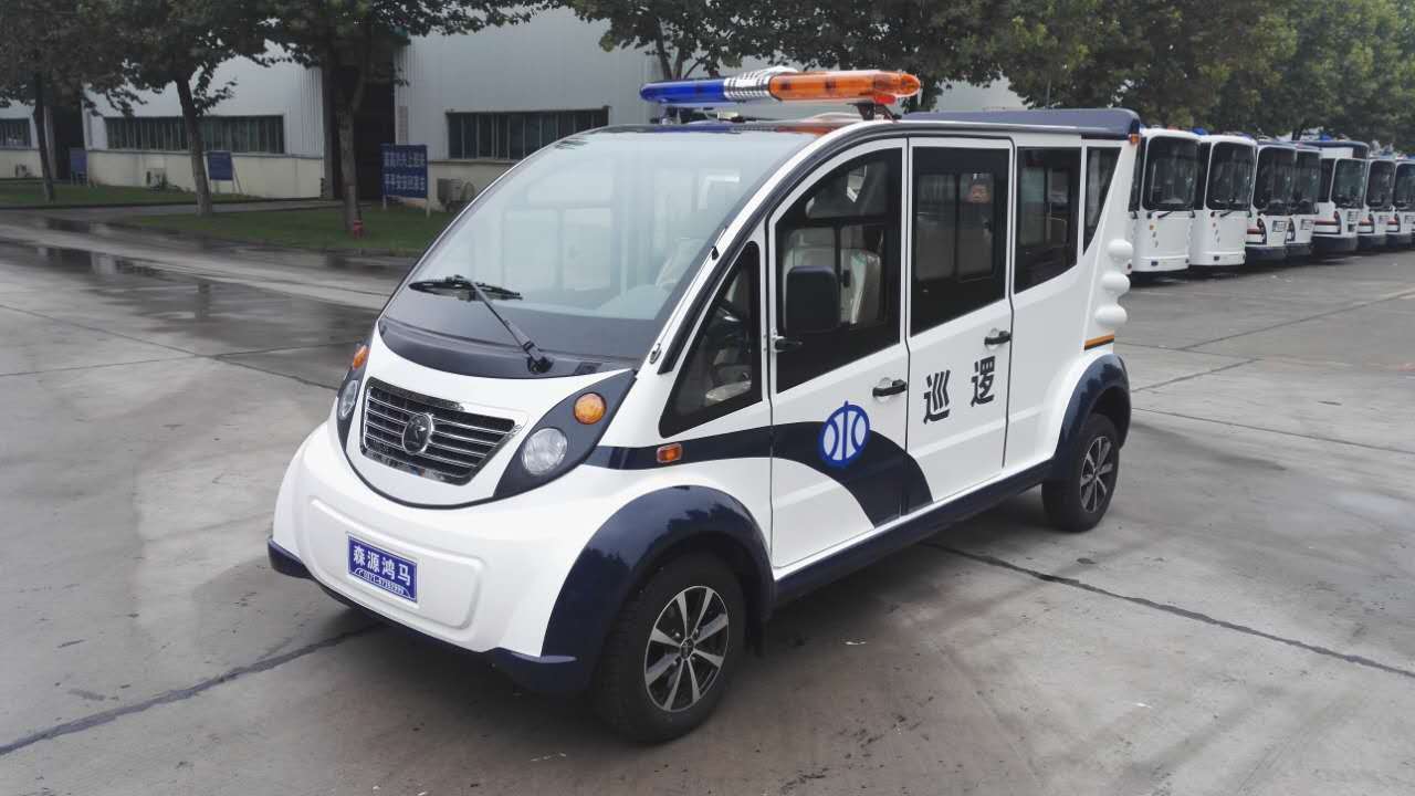 洛陽市洛寧縣電動巡邏車發(fā)車(圖1)