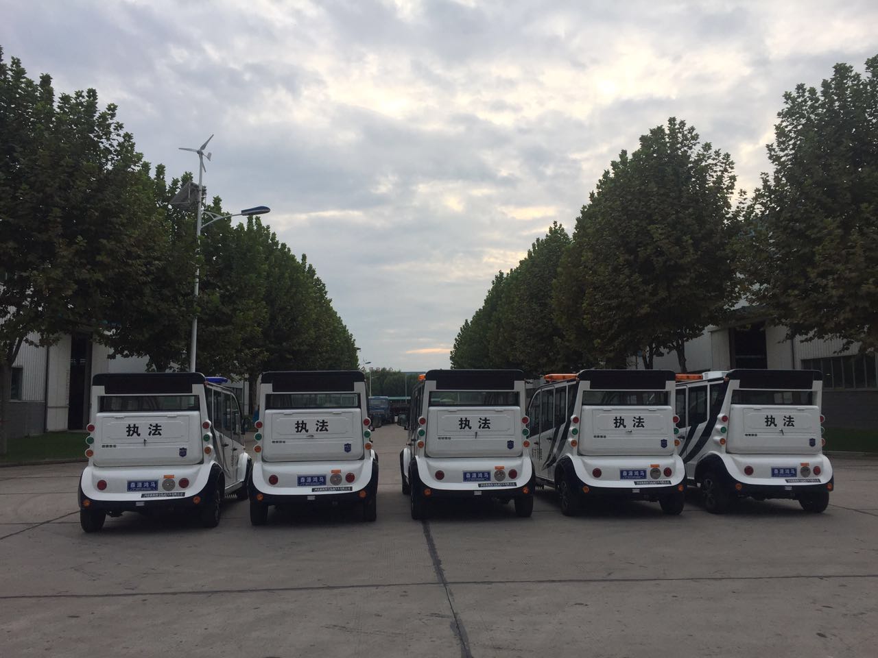 安陽(yáng)內(nèi)黃電動(dòng)巡邏車發(fā)車(圖5)