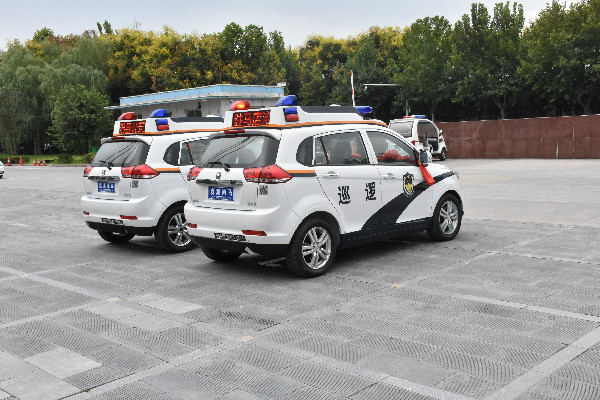 駐馬店泌陽(yáng)縣電動(dòng)巡邏車發(fā)車(圖7)