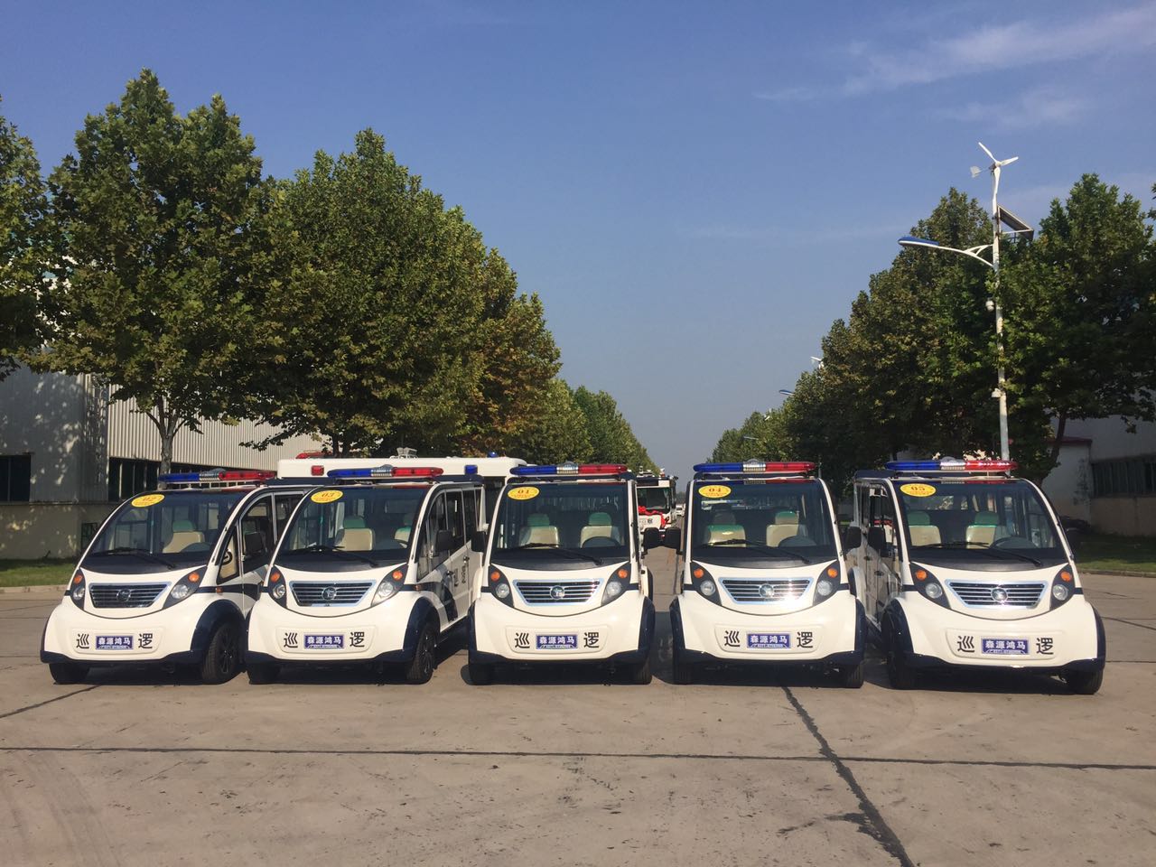 開封市通許縣公安局通過公安部警采中心采購電動巡邏車(圖2)