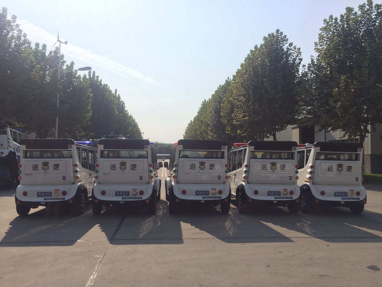 開封市通許縣公安局通過公安部警采中心采購電動巡邏車(圖5)
