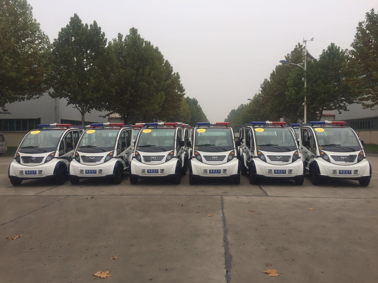 新鄉(xiāng)封丘通過公安部警采中心采購電動巡邏車(圖2)
