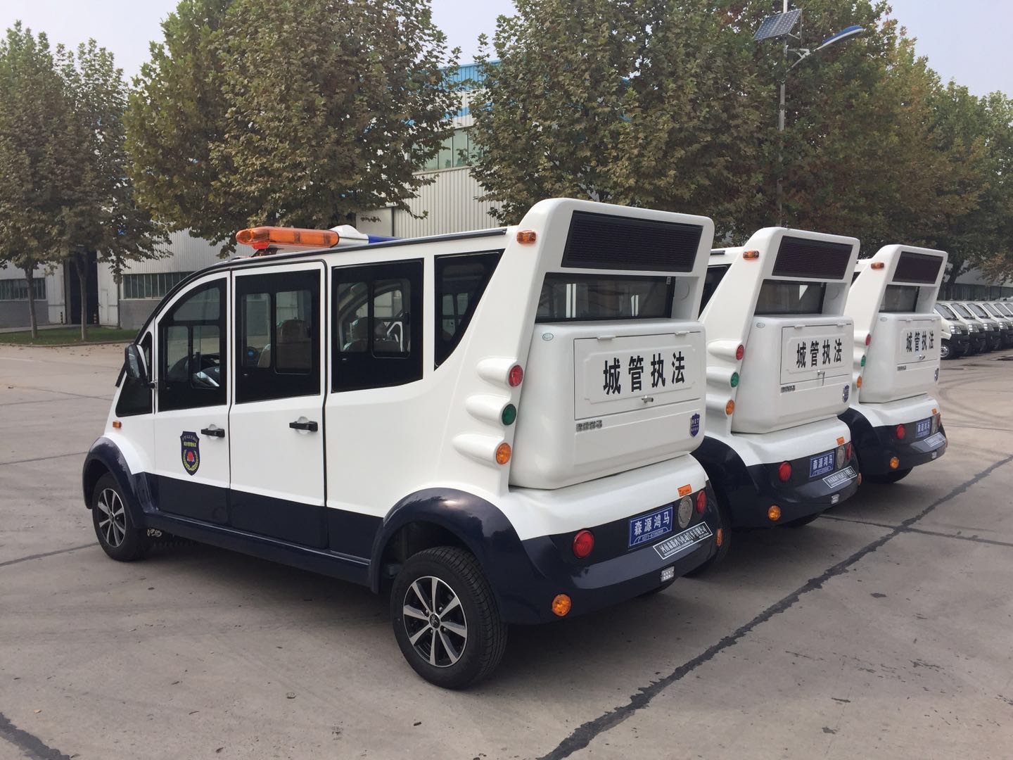 江西興國縣采購電動(dòng)巡邏車(圖4)
