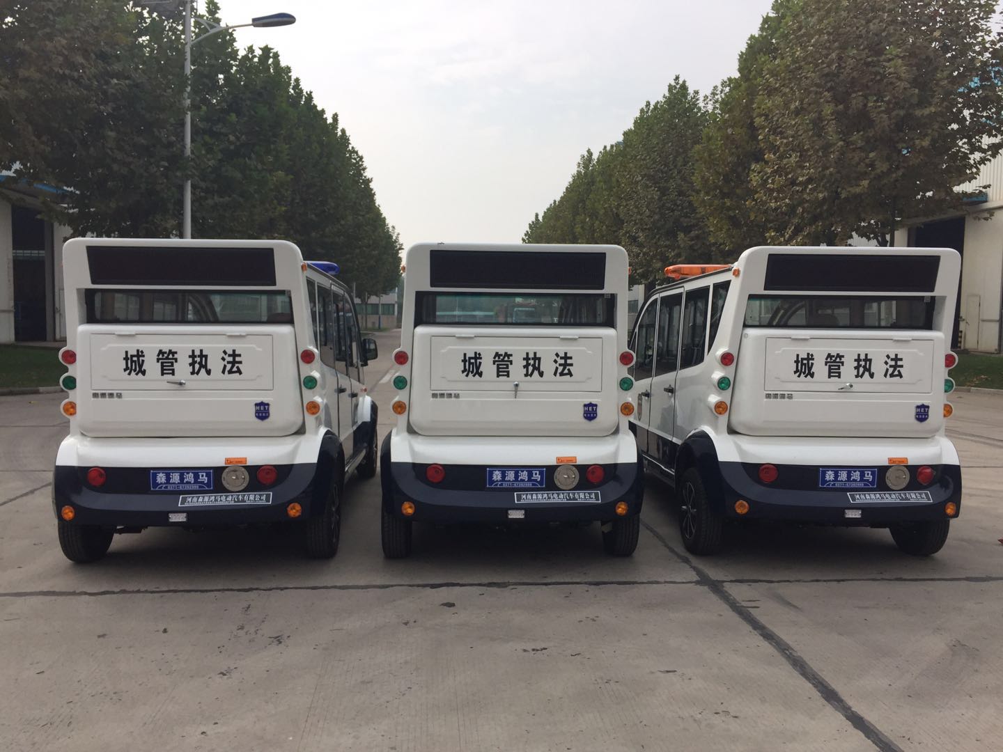 江西興國縣采購電動(dòng)巡邏車(圖5)