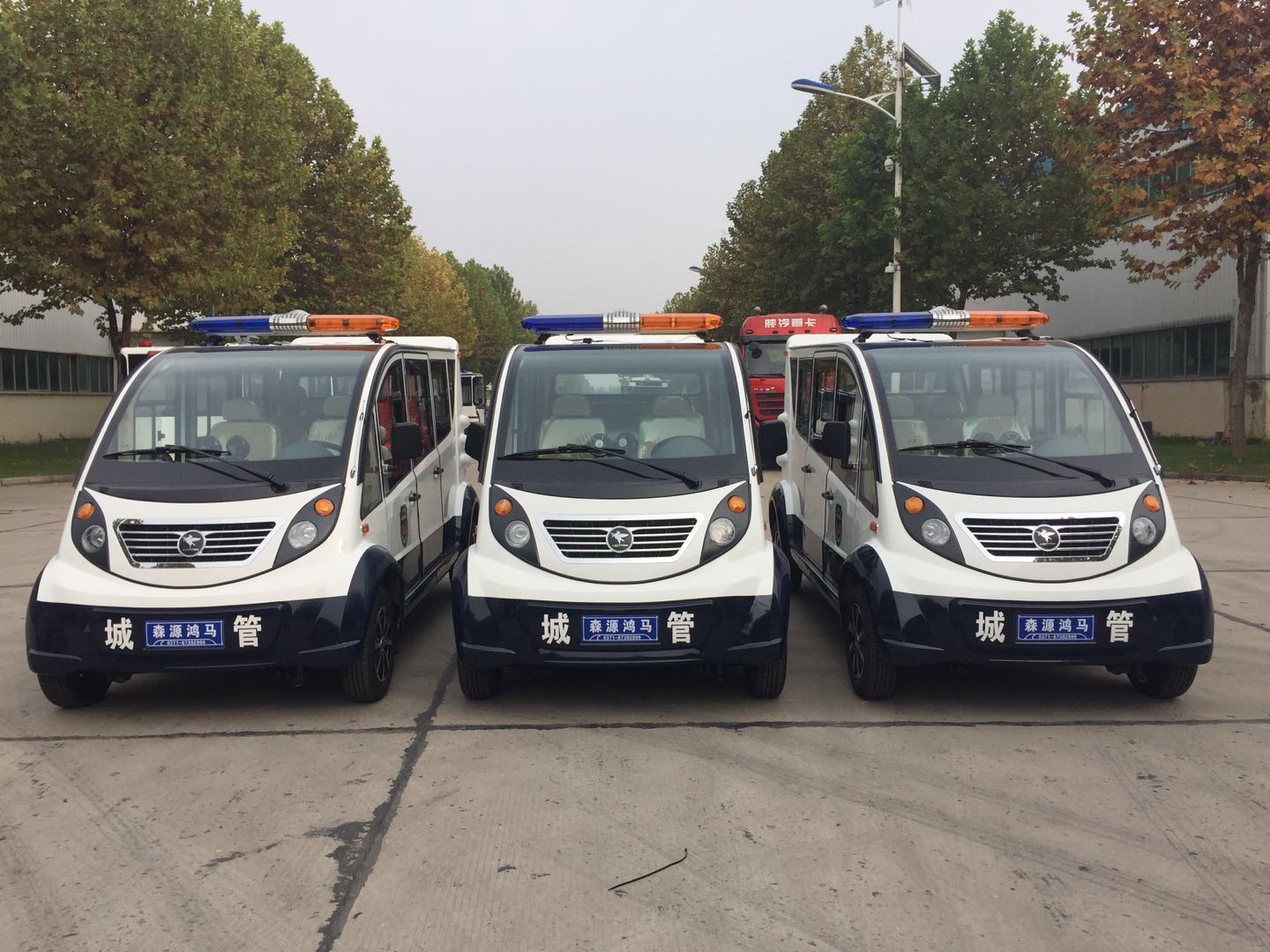 江西興國縣采購電動(dòng)巡邏車(圖1)