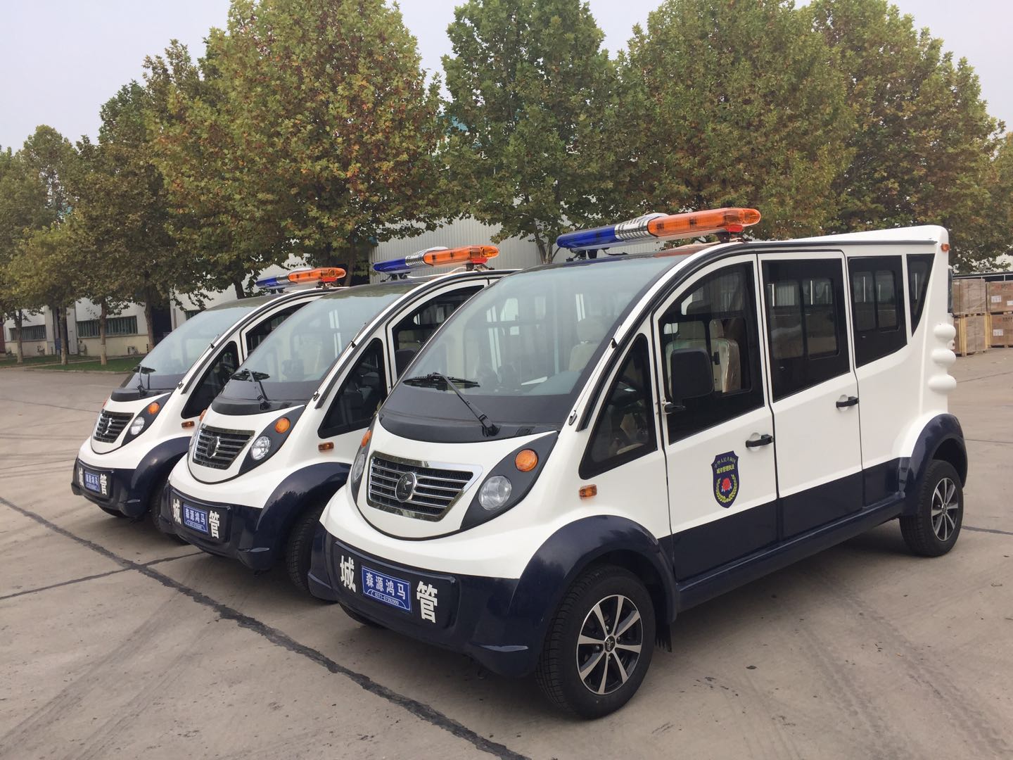 江西興國縣采購電動(dòng)巡邏車(圖2)