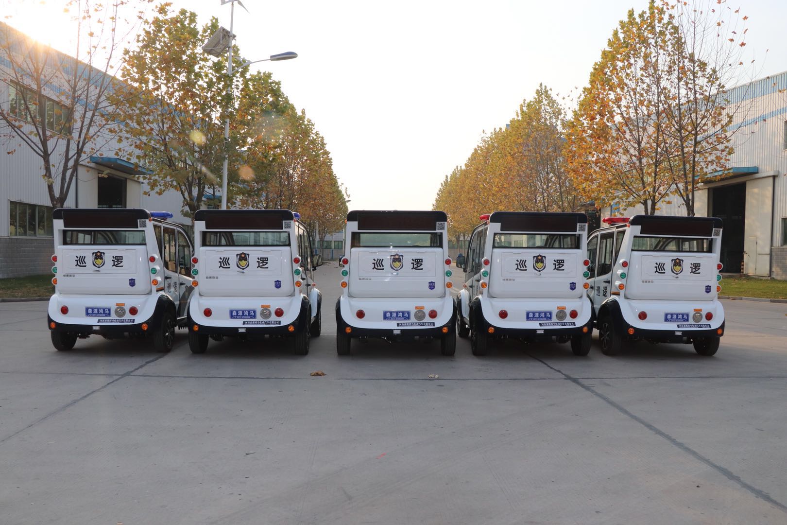 北京海淀區(qū)采購電動巡邏車(圖4)