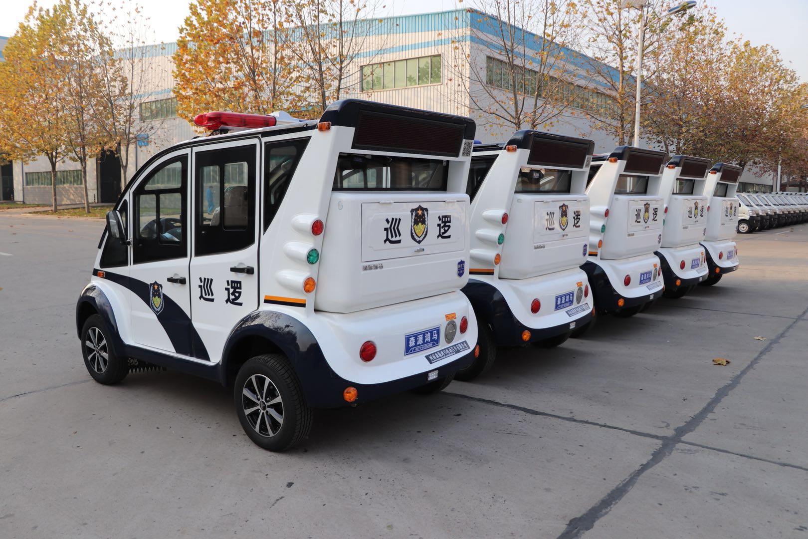 北京海淀區(qū)采購電動巡邏車(圖3)