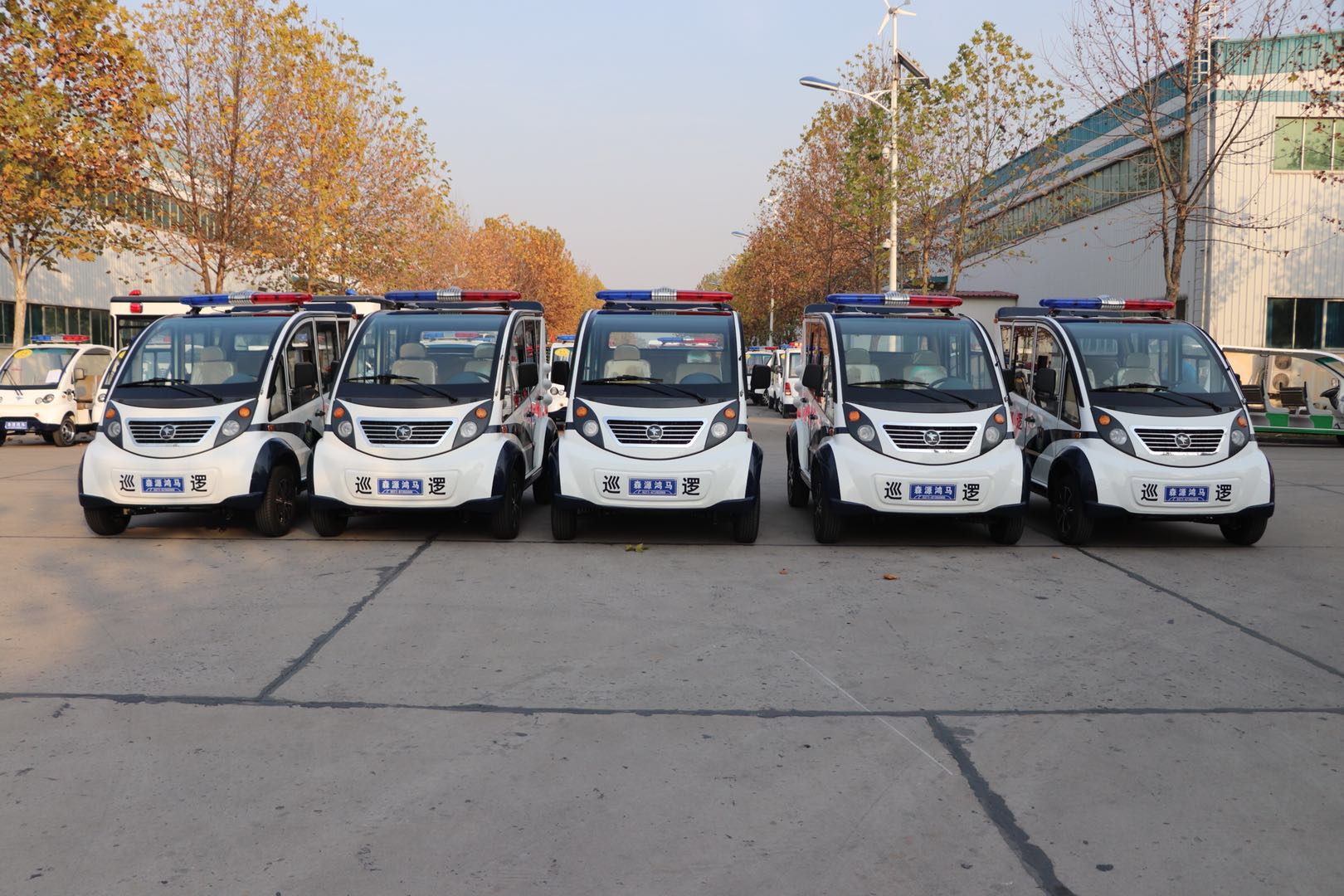 北京海淀區(qū)采購電動巡邏車(圖1)