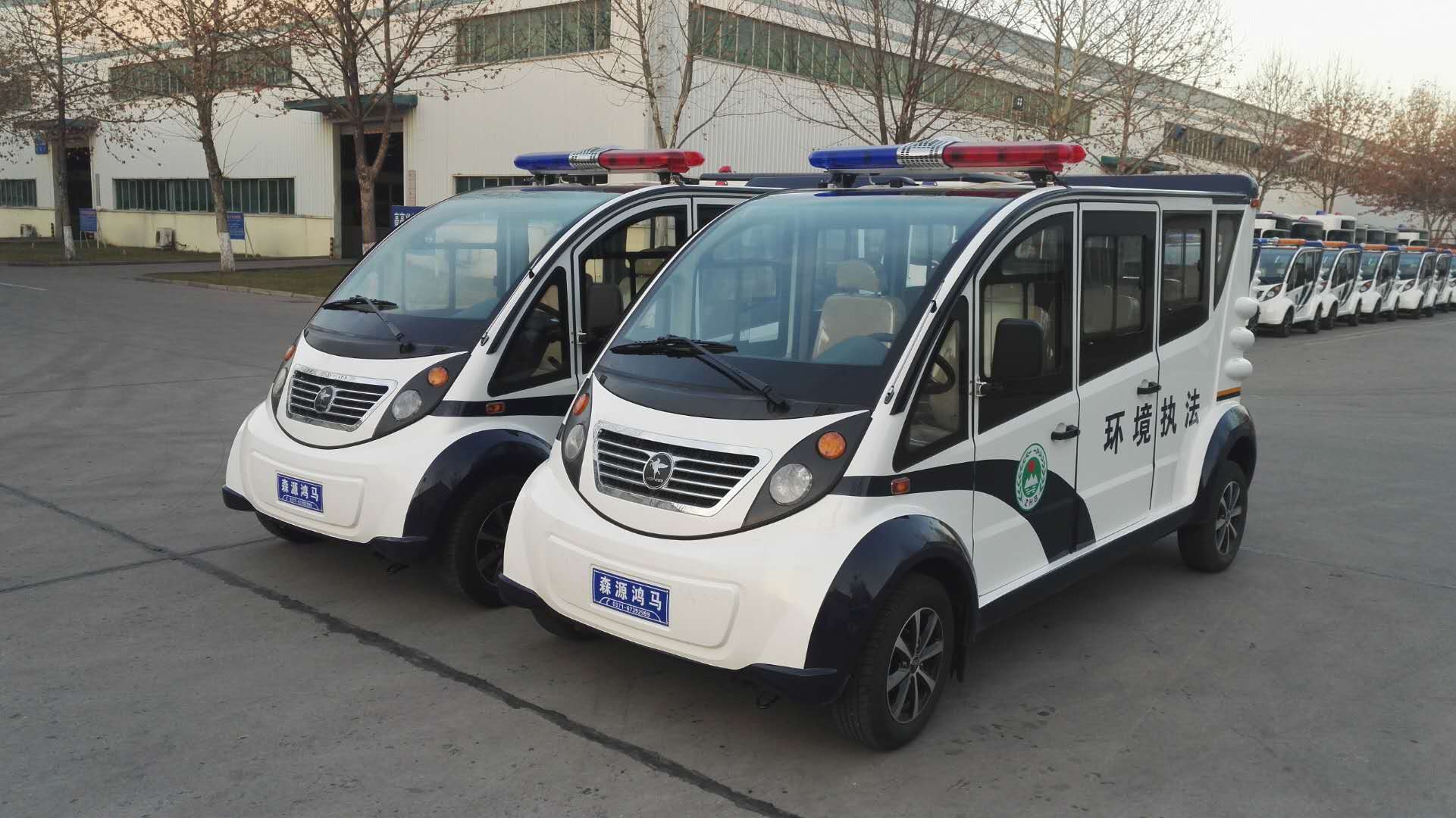 重慶市榮昌區(qū)采購電動巡邏車(圖2)