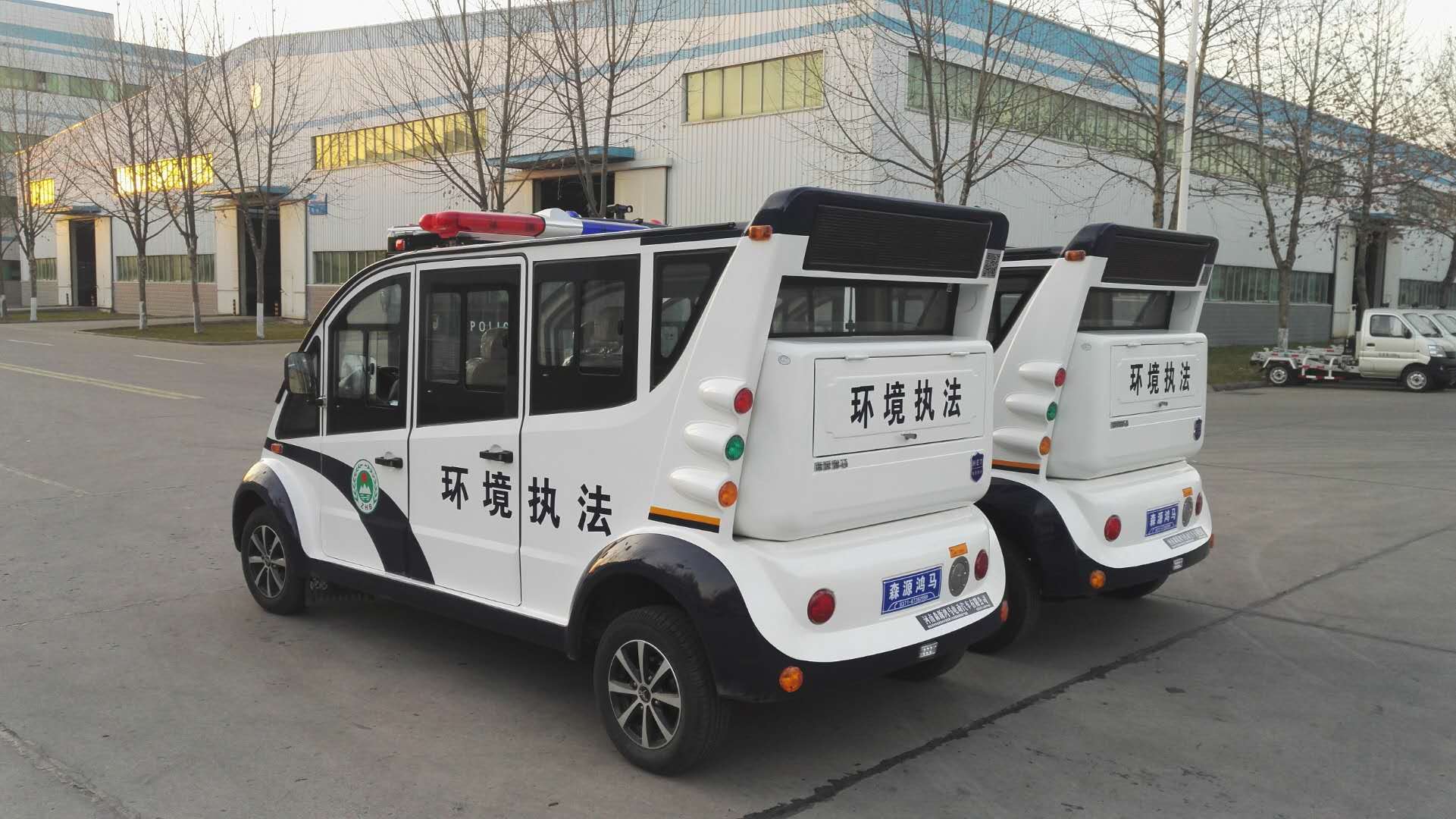 重慶市榮昌區(qū)采購電動巡邏車(圖4)