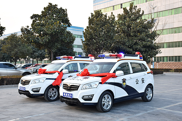 湖南麻陽縣苗族自治縣采購SUV電動(dòng)巡邏車(圖1)