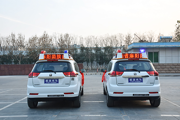 湖南麻陽縣苗族自治縣采購SUV電動(dòng)巡邏車(圖5)