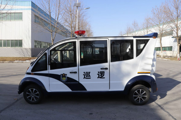 安徽淮南市采購電動巡邏車(圖3)