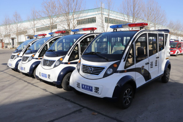 安徽淮南市采購電動巡邏車(圖2)