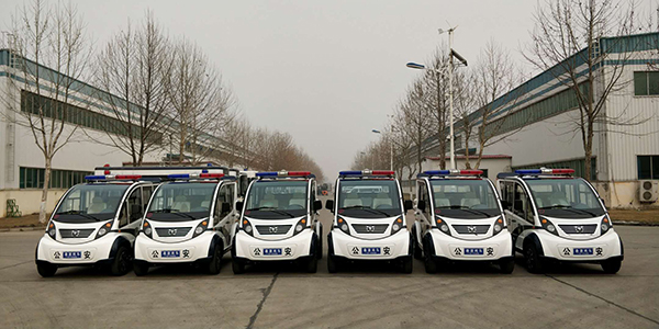湖南公安廳交通總隊(duì)采購電動(dòng)巡邏車(圖1)