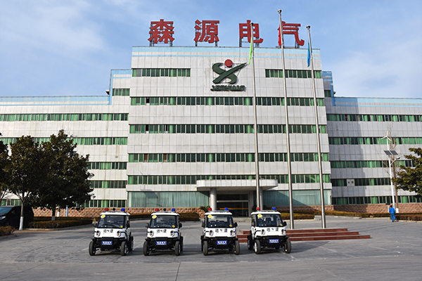 山東濟(jì)寧市采購“小精靈”電動(dòng)巡邏車(圖1)