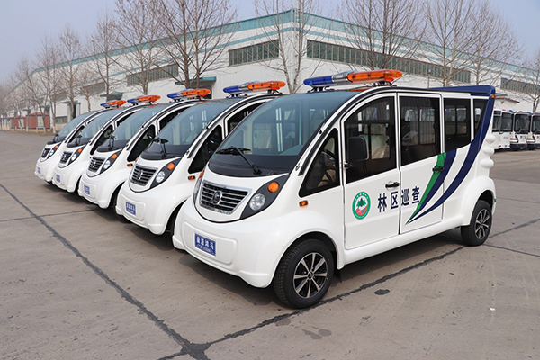 河南國有蘭考林場采購5臺電動巡邏車(圖2)