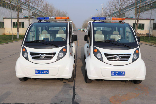 北京市采購(gòu)電動(dòng)巡邏車(圖1)