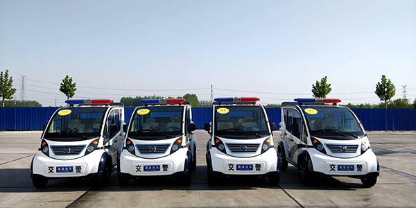 海南省保亭黎族苗族自治區(qū)采購電動(dòng)巡邏車(圖1)