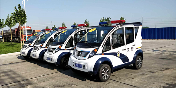 海南省保亭黎族苗族自治區(qū)采購電動(dòng)巡邏車(圖2)