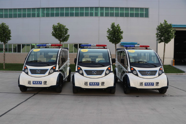 北京市平谷分局采購電動(dòng)巡邏車(圖1)