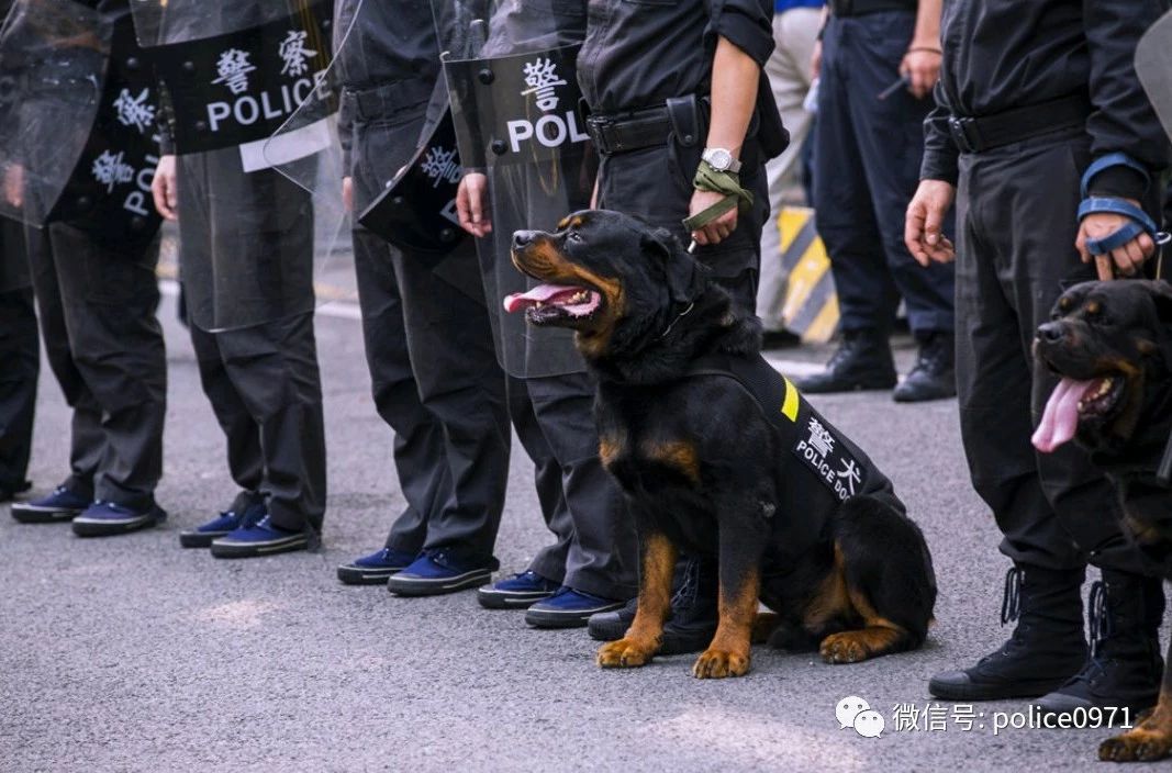 因?yàn)槲覀兪蔷?，所以我們不能?...(圖13)