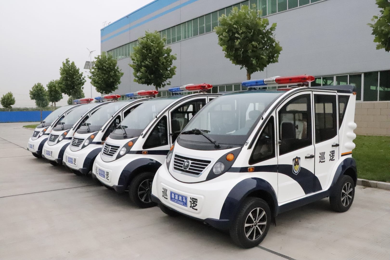福建平潭縣采購(gòu)電動(dòng)巡邏車(chē)(圖2)