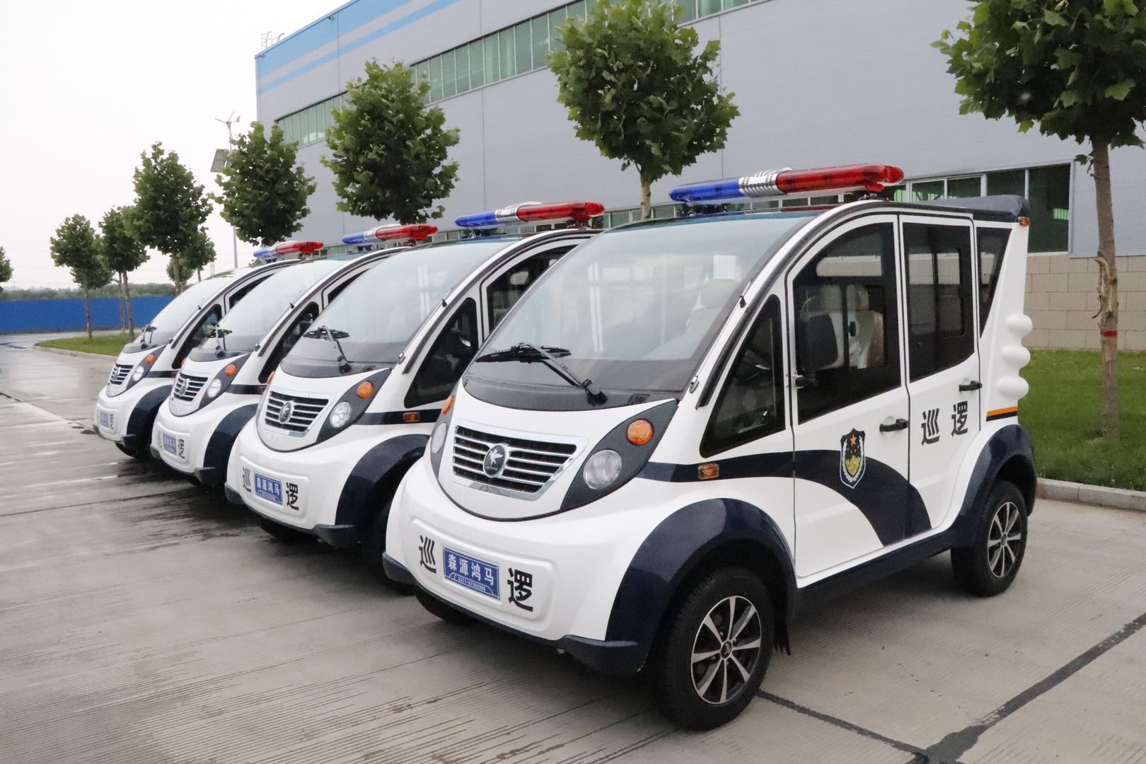 河南省禹州市采購電動巡邏車(圖2)