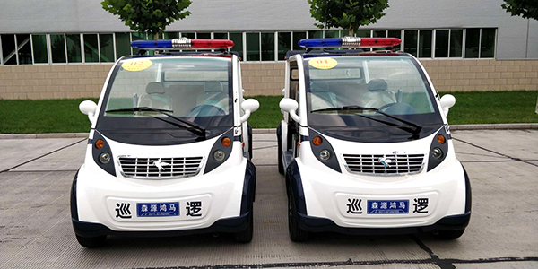 四川廣元市公安局通過公安部警采中心采購電動(dòng)巡邏車(圖1)