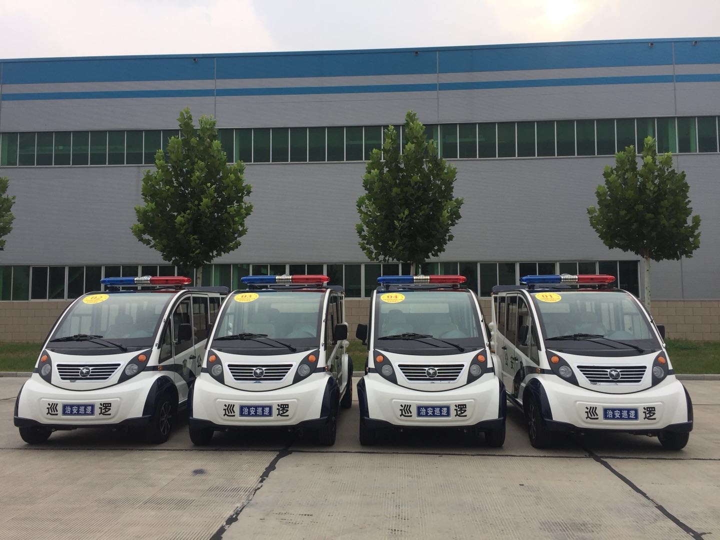 甘肅省成縣公安局通過公安部警采中心采購電動巡邏車(圖1)