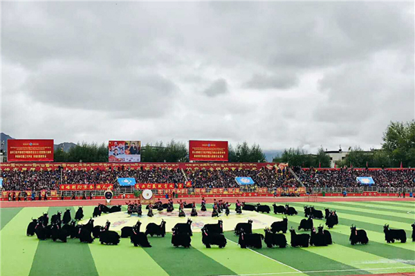 西藏日喀則//警用移動式指揮方艙為第十六屆文化旅游節(jié)開幕式護航(圖15) 西藏日喀則//警用移動式指揮方艙為第十六屆文化旅游節(jié)開幕式護航(圖15)