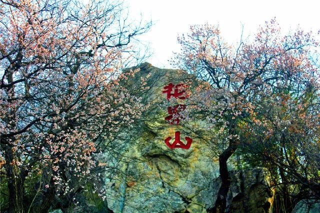 五一，邀您共賞花果山美“警”(圖2)