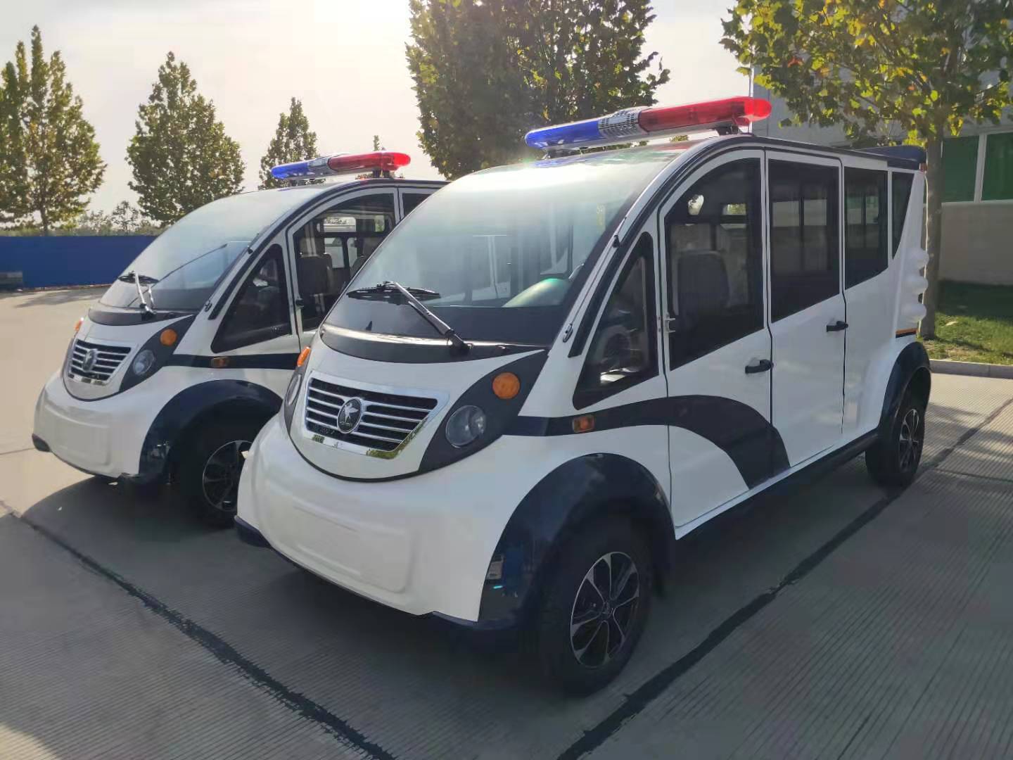 鄭州市采購(gòu)電動(dòng)巡邏車(chē)(圖3)