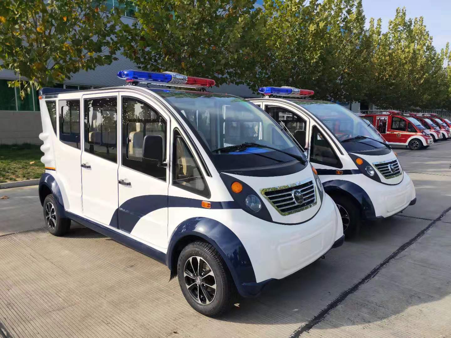 鄭州市采購(gòu)電動(dòng)巡邏車(chē)(圖2)