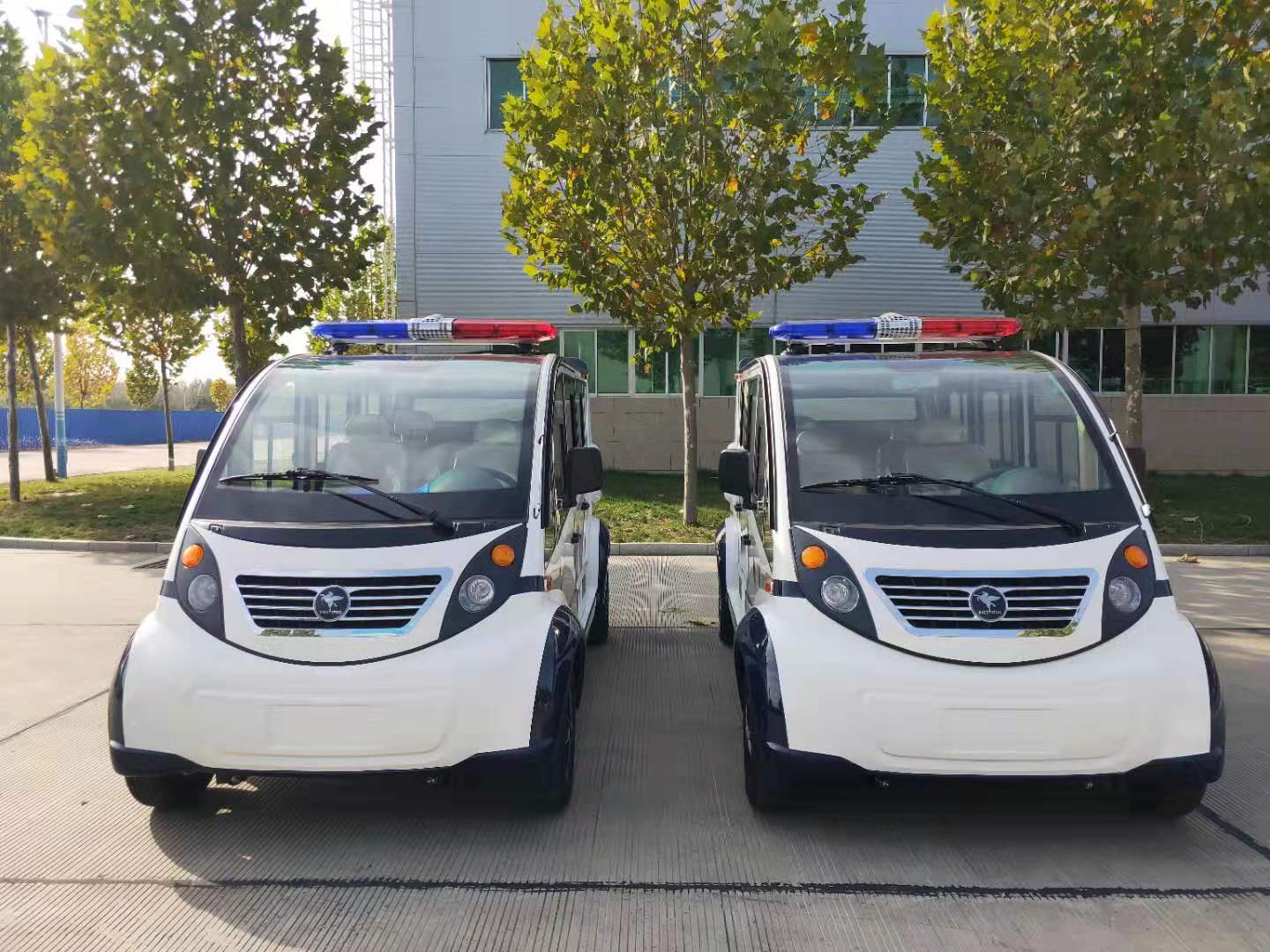 鄭州市采購(gòu)電動(dòng)巡邏車(chē)(圖1)