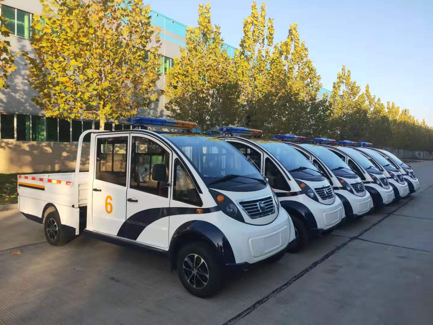 駐馬店采購(gòu)6臺(tái)電動(dòng)巡邏車(chē)(圖3)