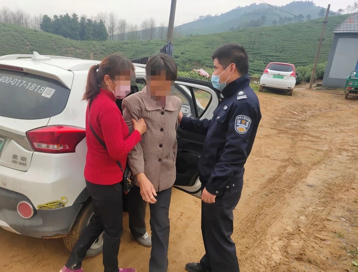 別慌，有警察在！講講采茶期遇上的那些事(圖4)