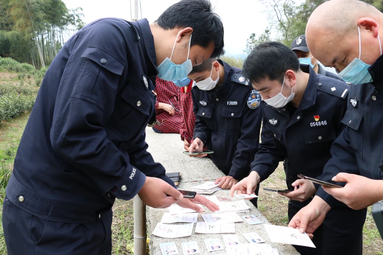 別慌，有警察在！講講采茶期遇上的那些事(圖6)
