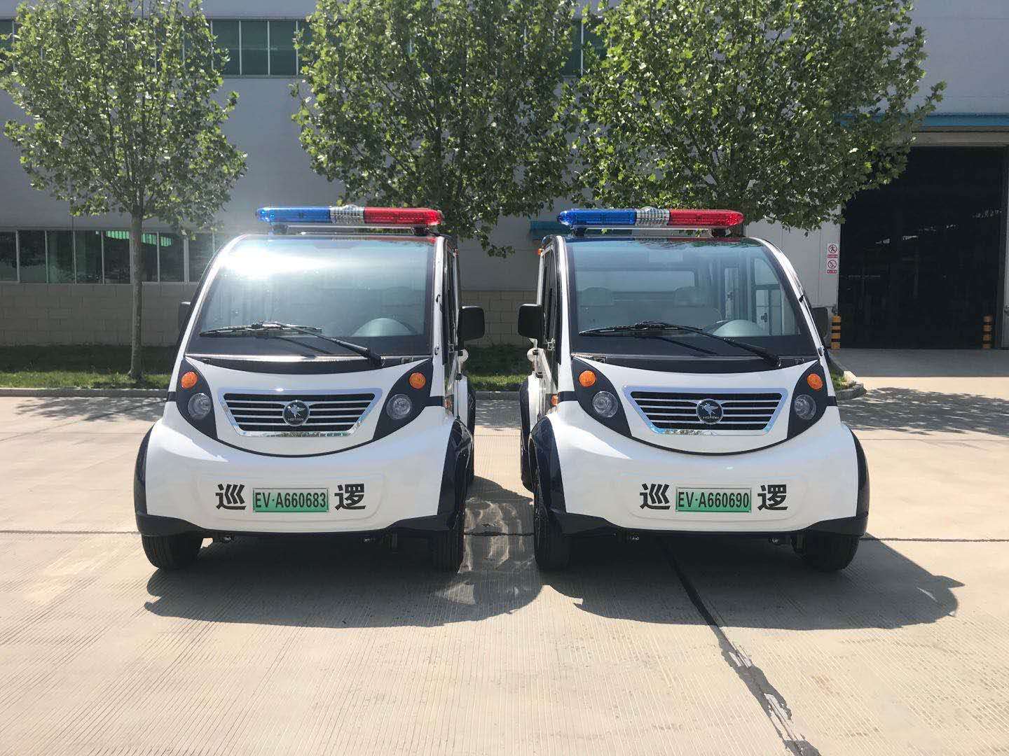 北京采購(gòu)電動(dòng)巡邏車(圖1)