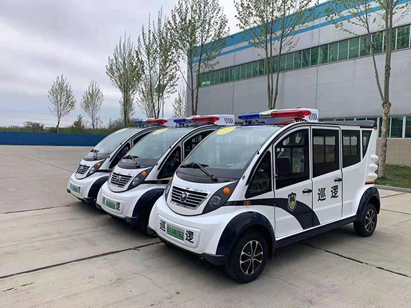 海南省儋州市采購電動(dòng)巡邏車(圖2)