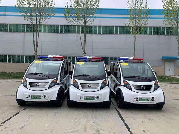 海南省儋州市采購電動(dòng)巡邏車(圖1)
