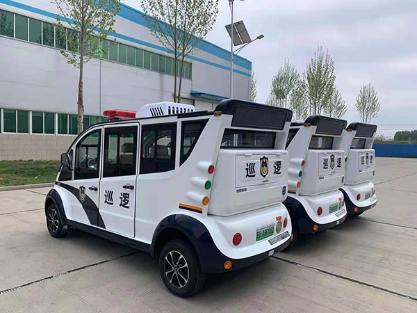 海南省儋州市采購電動(dòng)巡邏車(圖4)