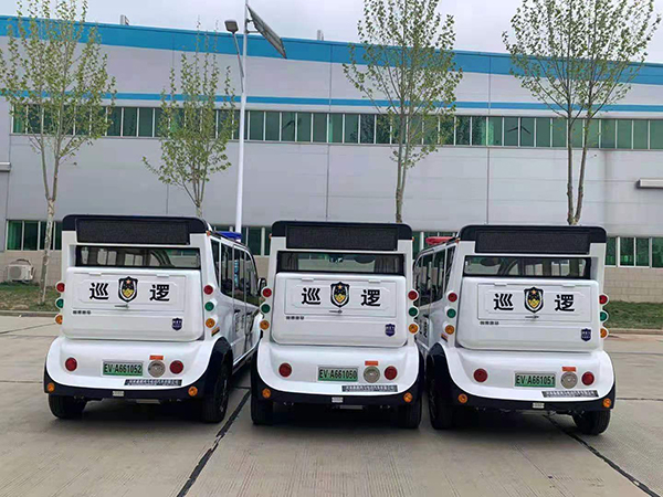 海南省儋州市采購電動(dòng)巡邏車(圖6)